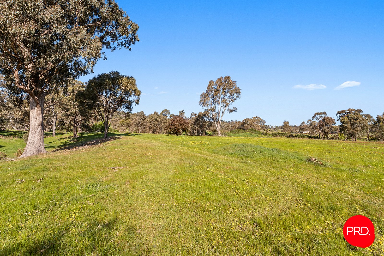 3358 Harmony Way HARCOURT 30