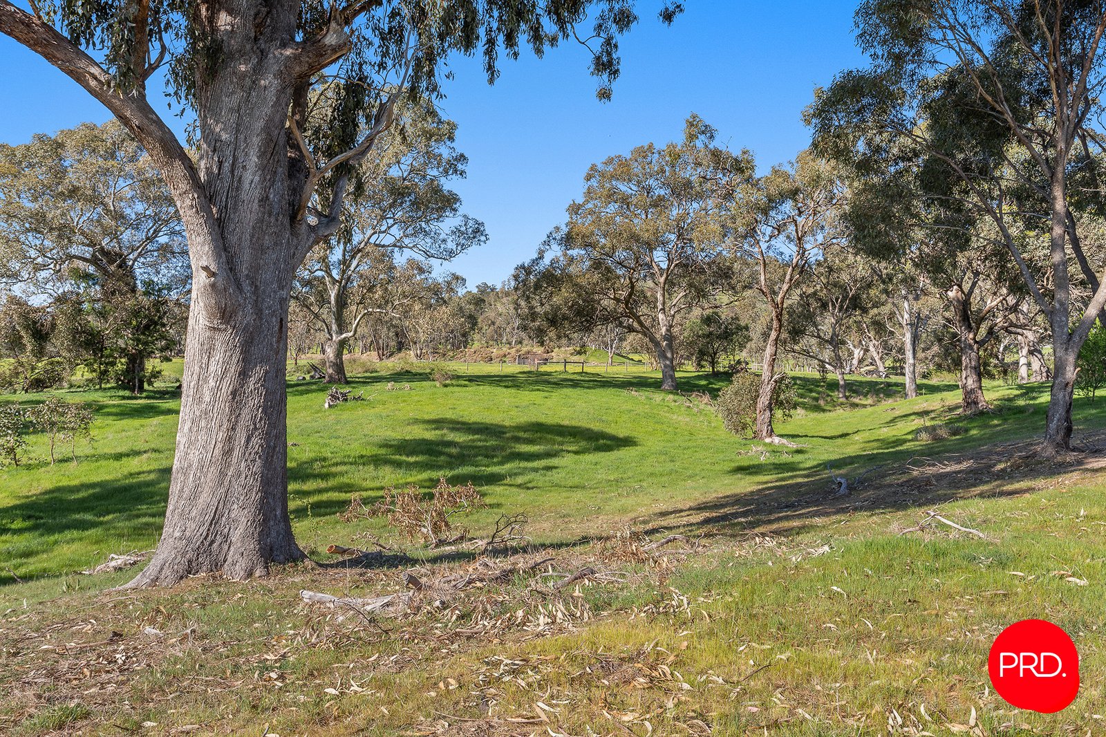 3358 Harmony Way HARCOURT 31