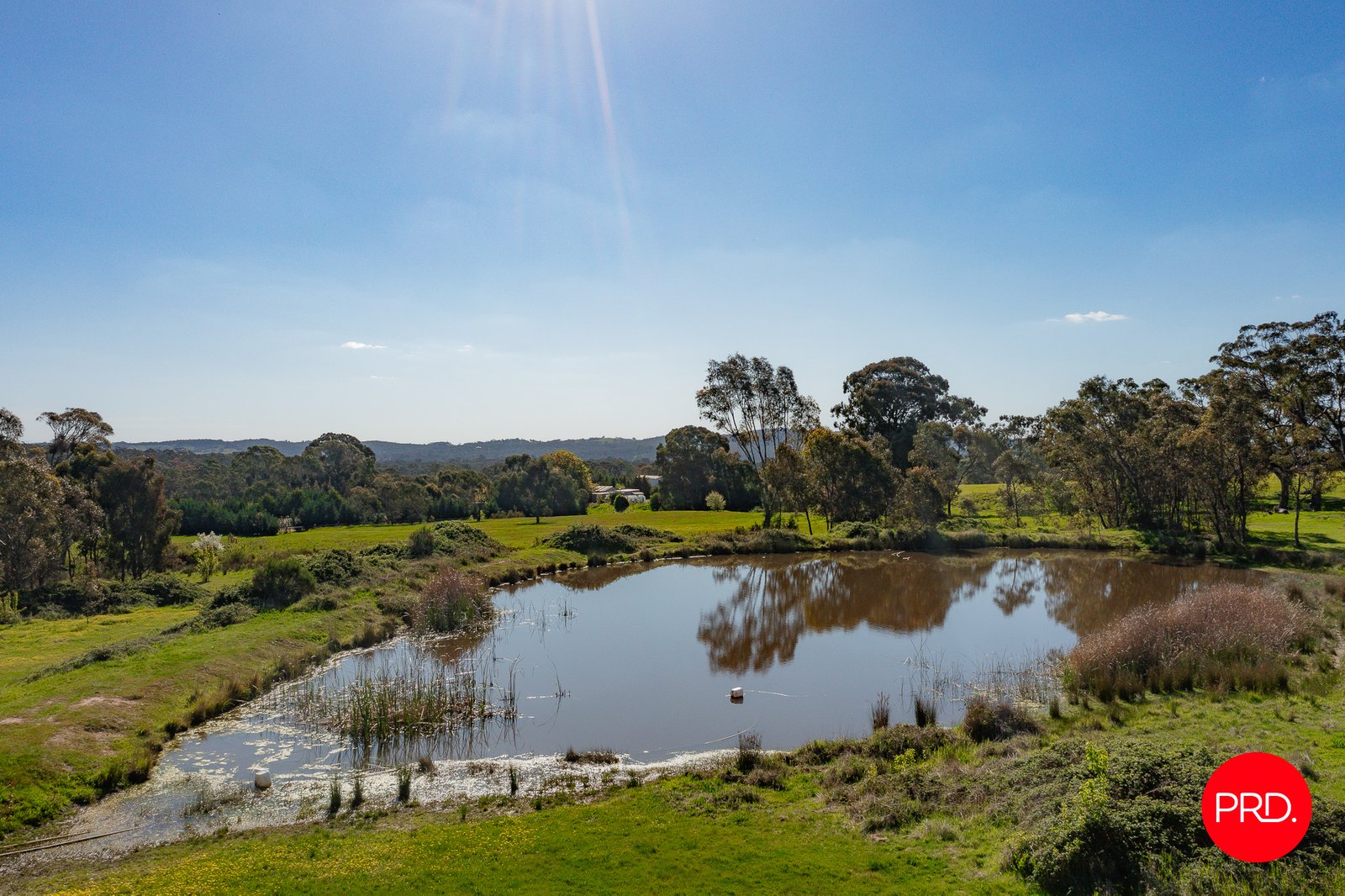 3358 Harmony Way HARCOURT 32