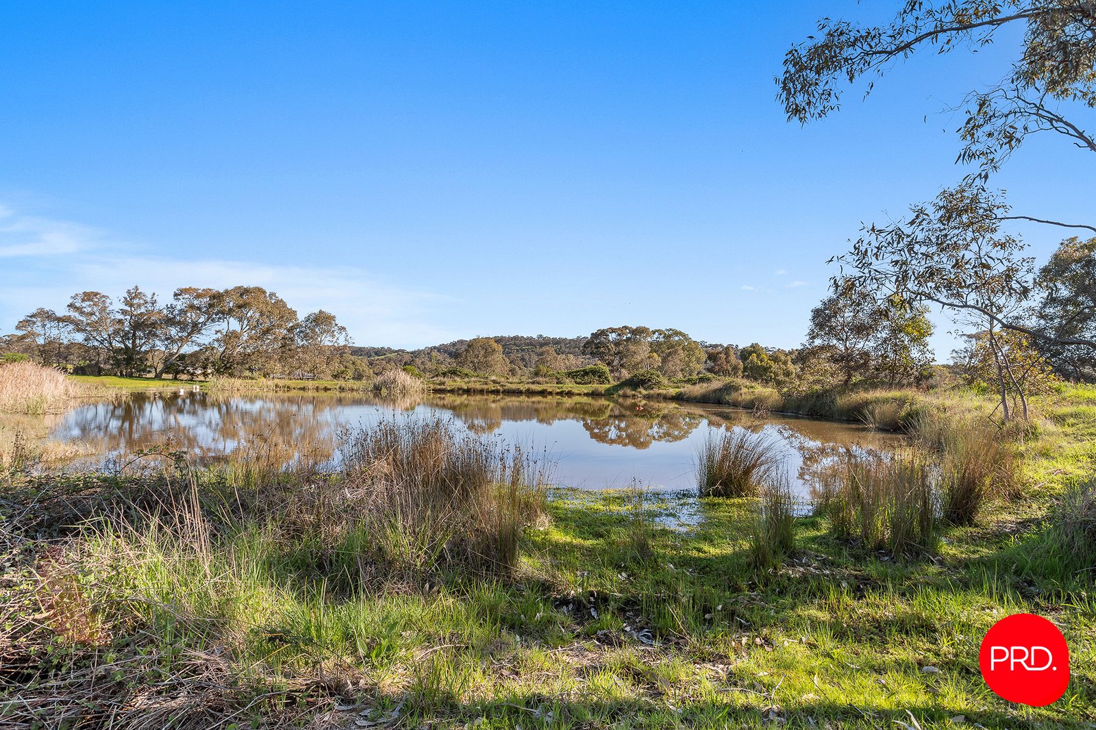 3358 Harmony Way HARCOURT 33