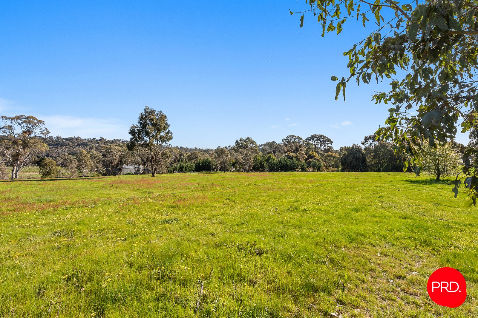 3358 Harmony Way HARCOURT 35