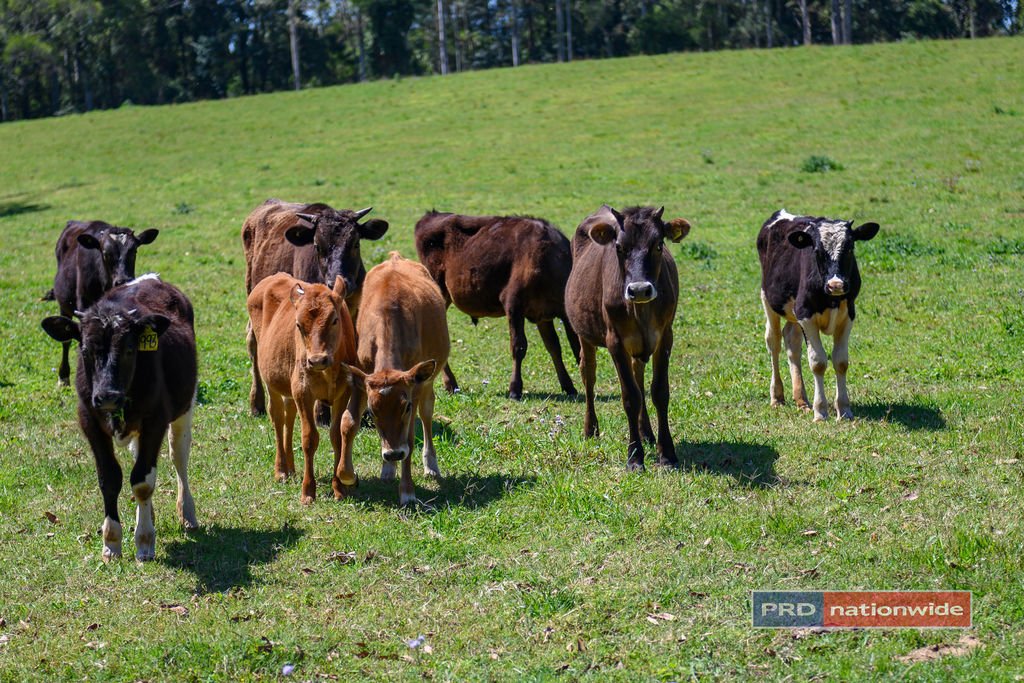 335B Crossmaglen Road BONVILLE 18