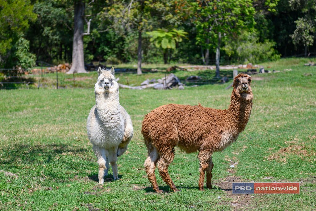 335B Crossmaglen Road BONVILLE 19