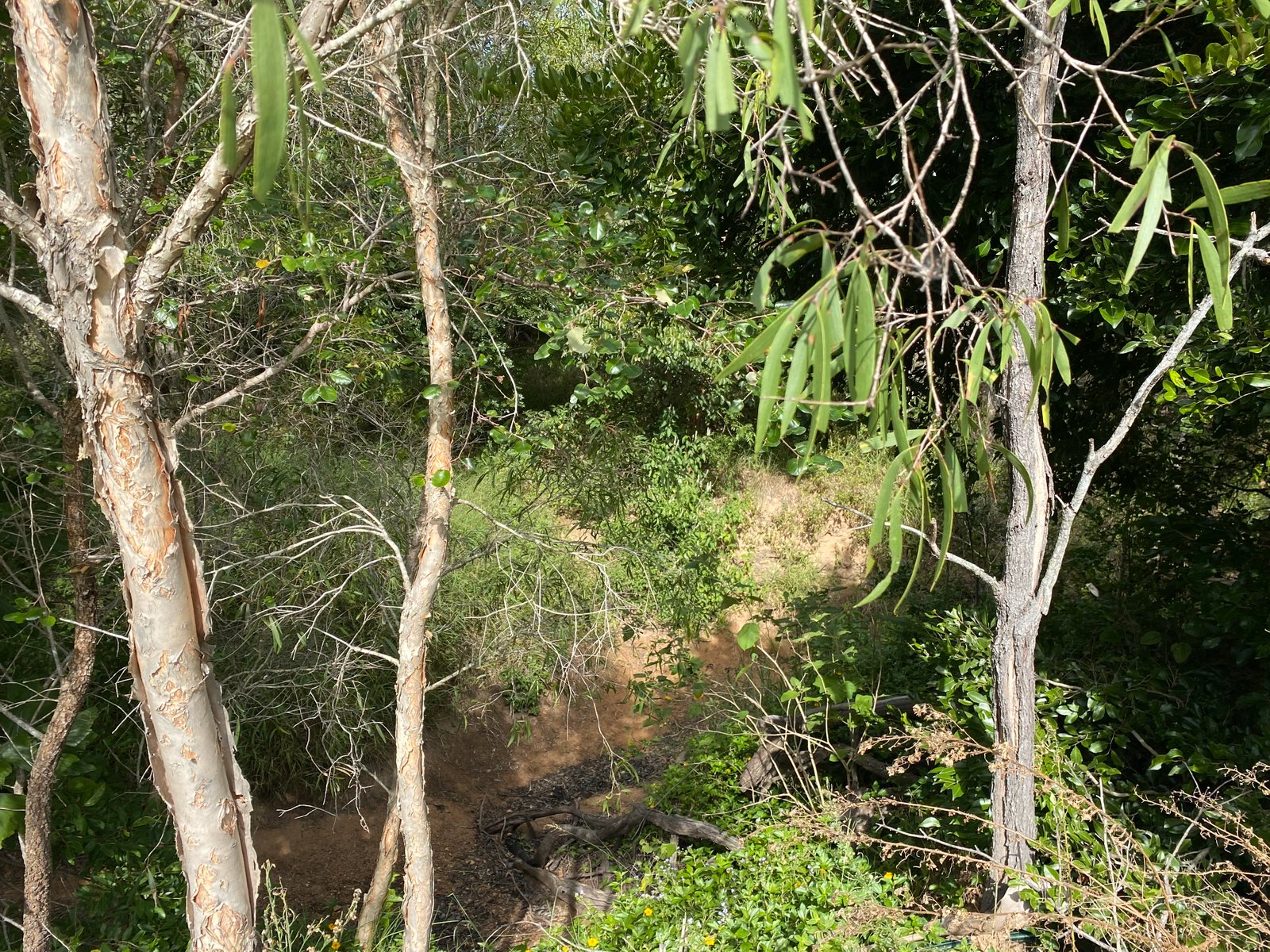 337 Bells Road RODDS BAY 25