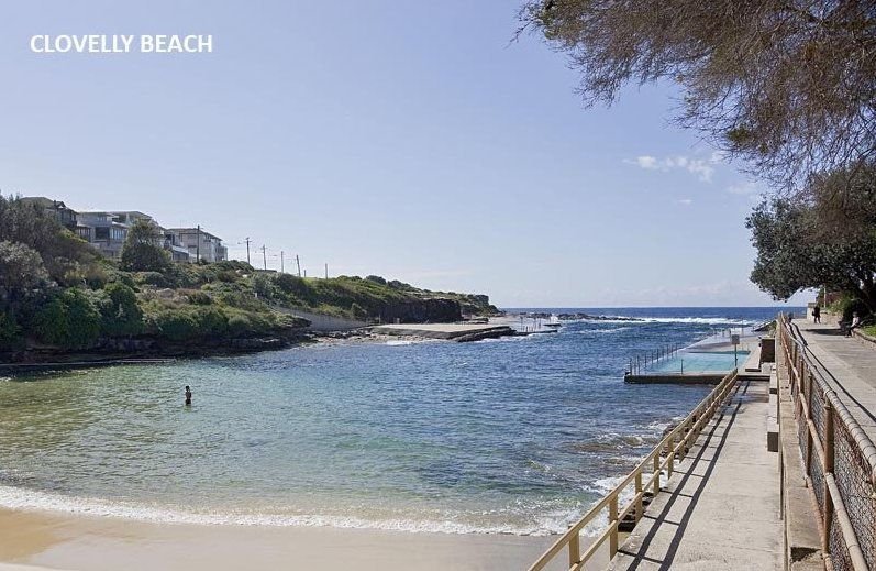 3/377A Clovelly Road CLOVELLY 7