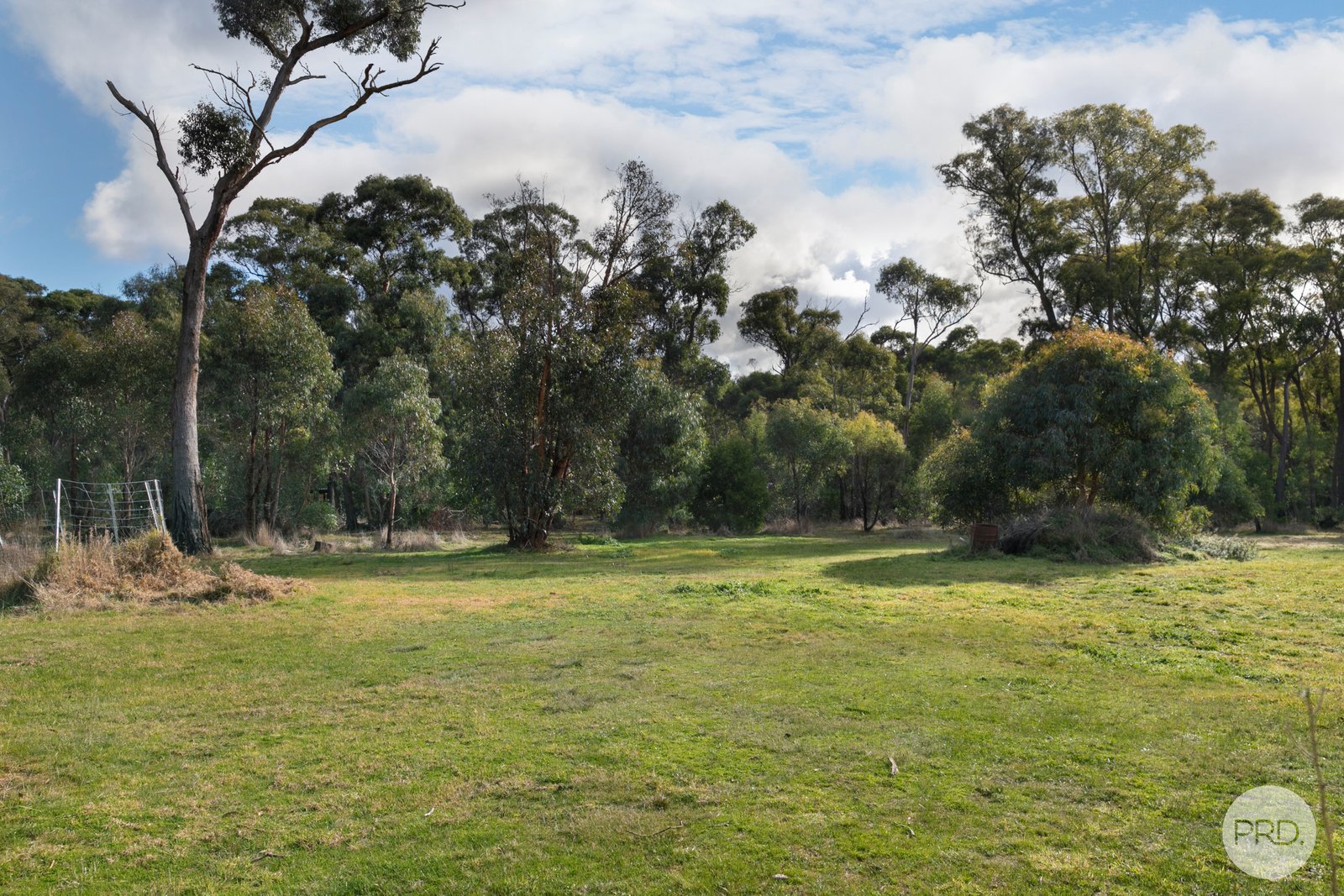 338 Browns Road SCARSDALE 13