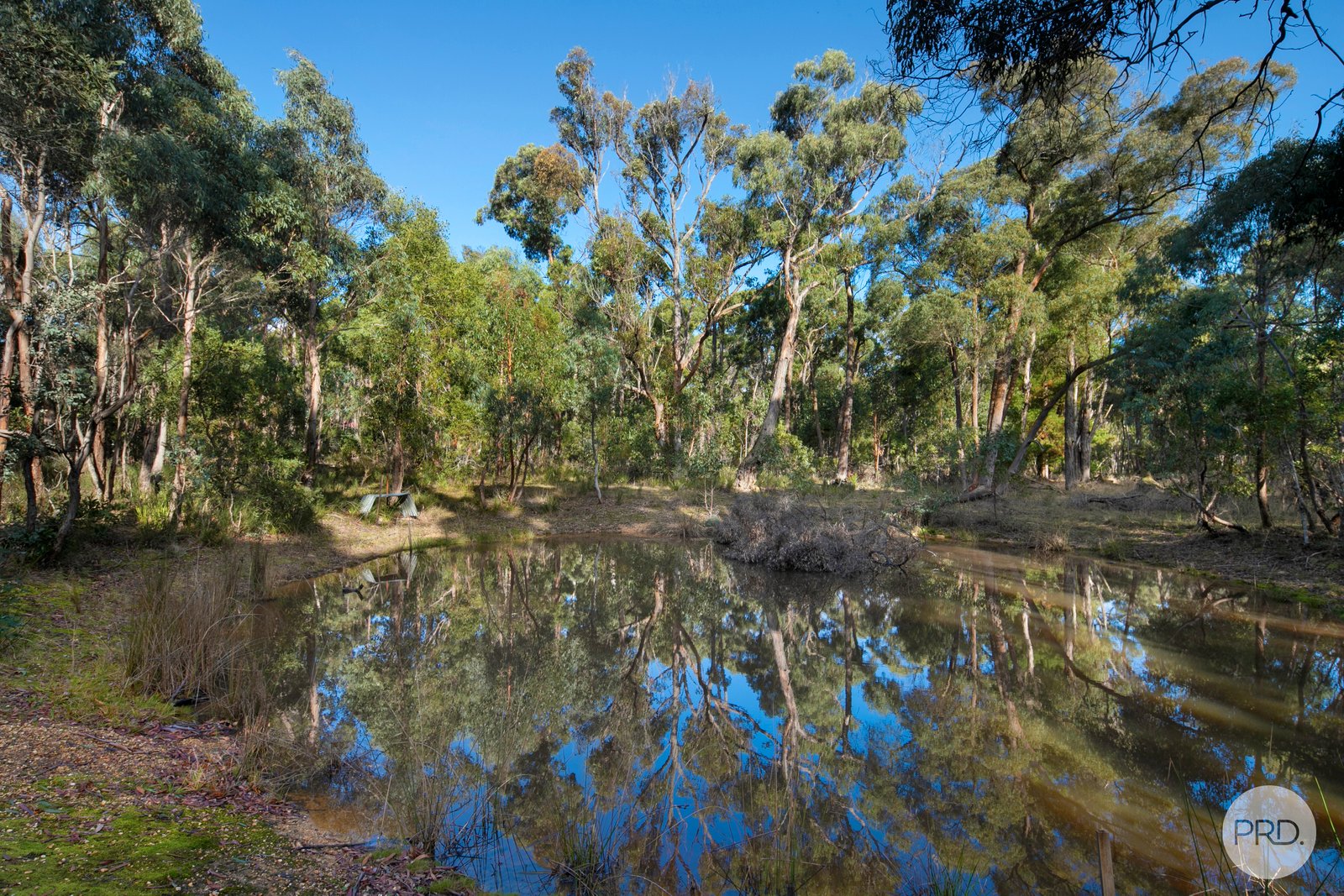 338 Browns Road SCARSDALE 14