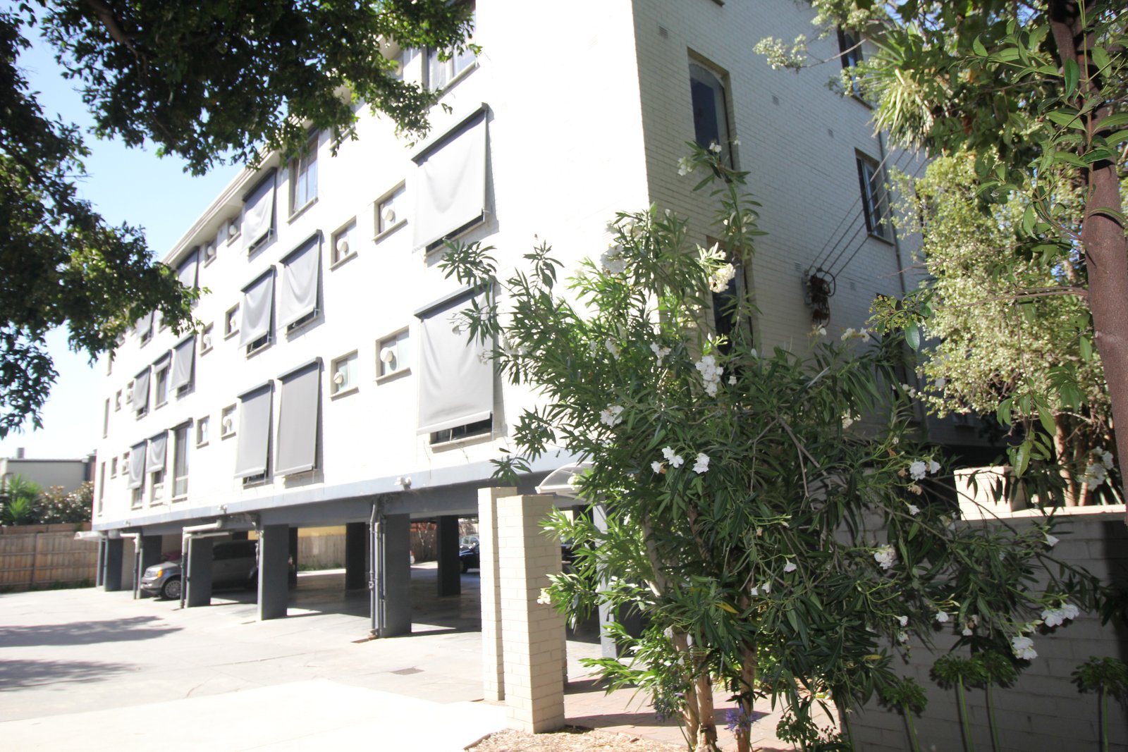 Photos: 3/38 Charnwood Road