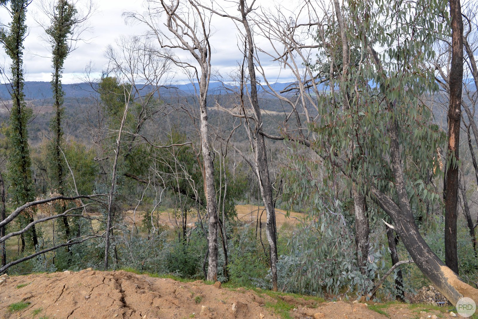 338D Elliott Way TUMBARUMBA 5