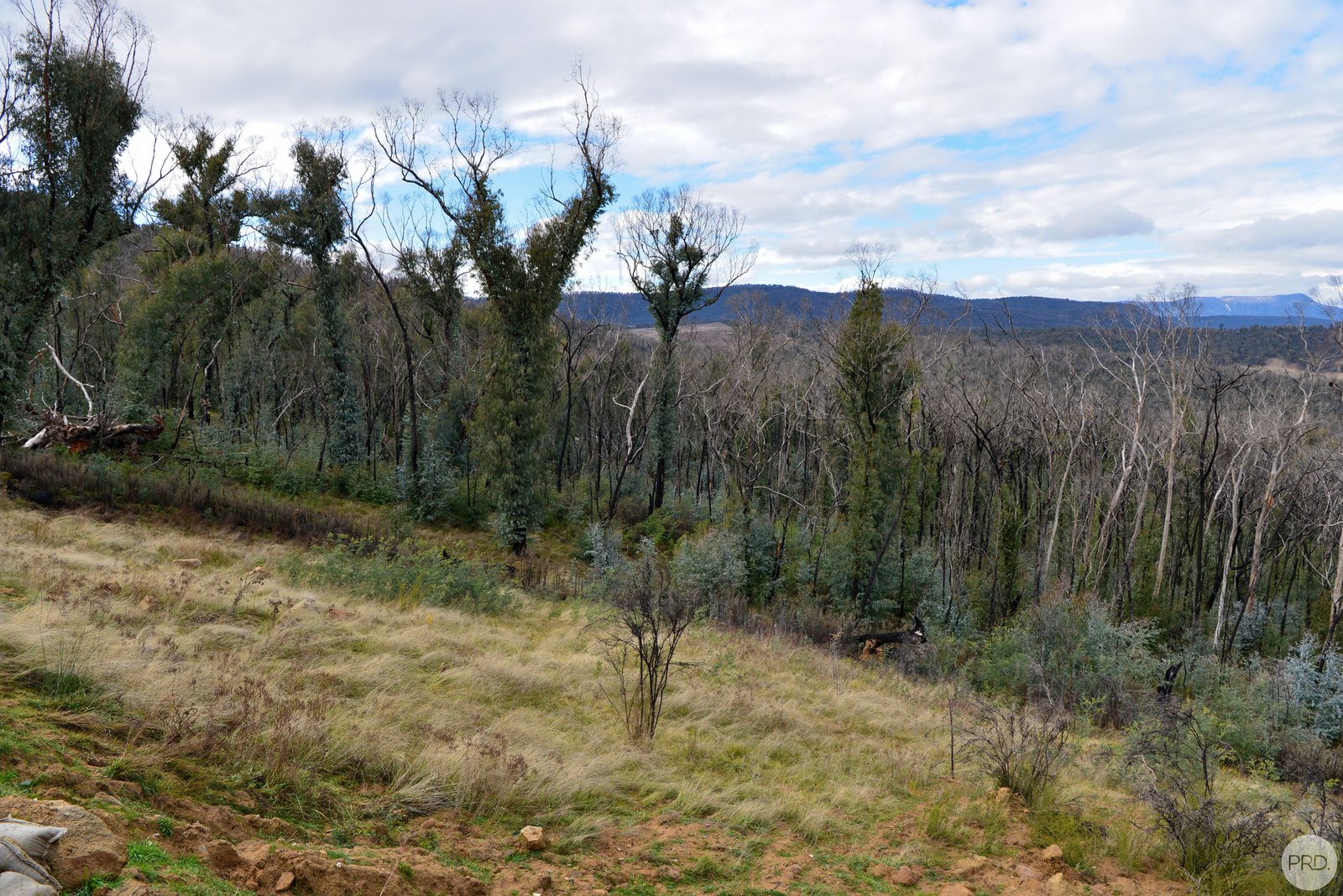 338D Elliott Way TUMBARUMBA 7