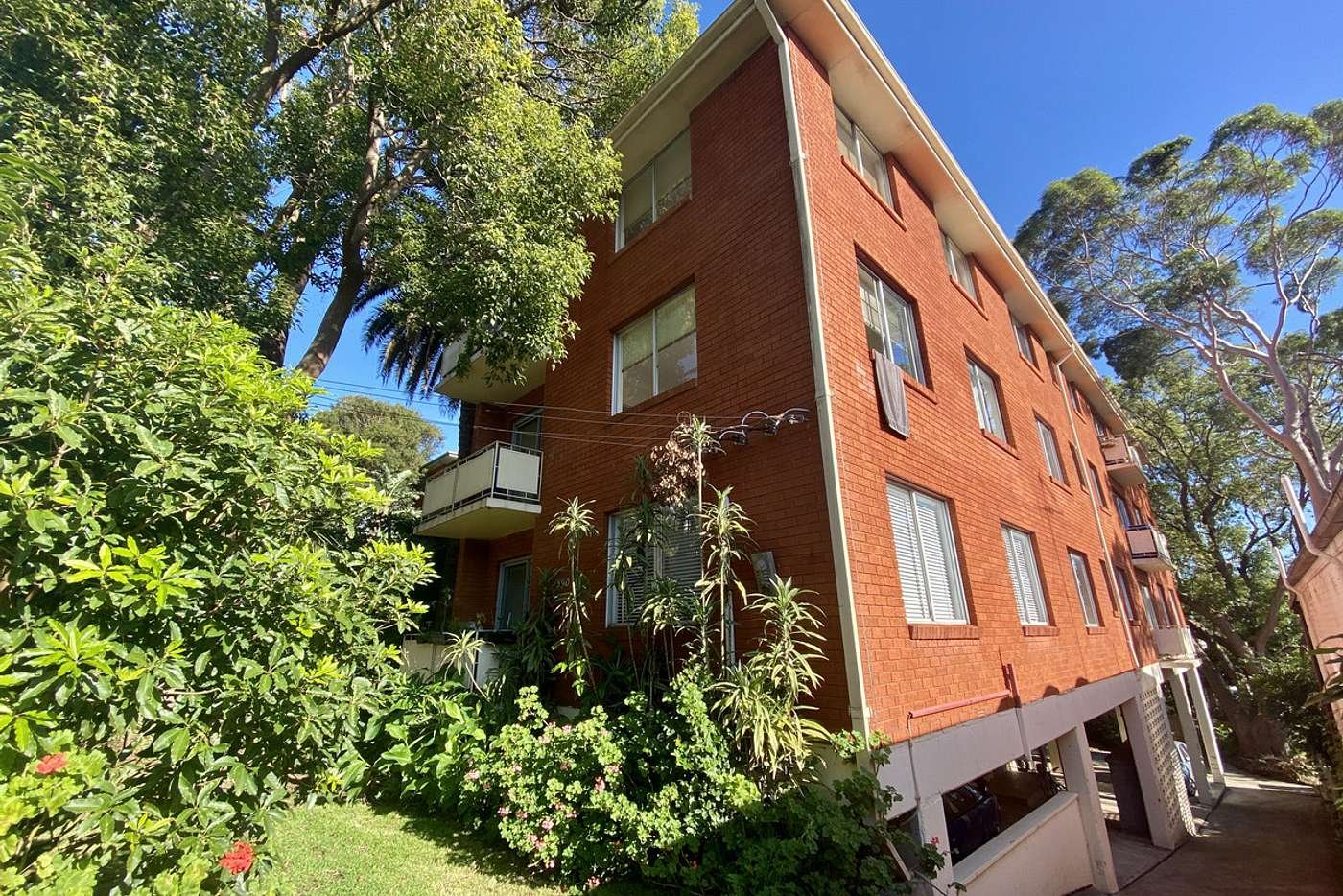 3/390 Bronte Road BRONTE 2
