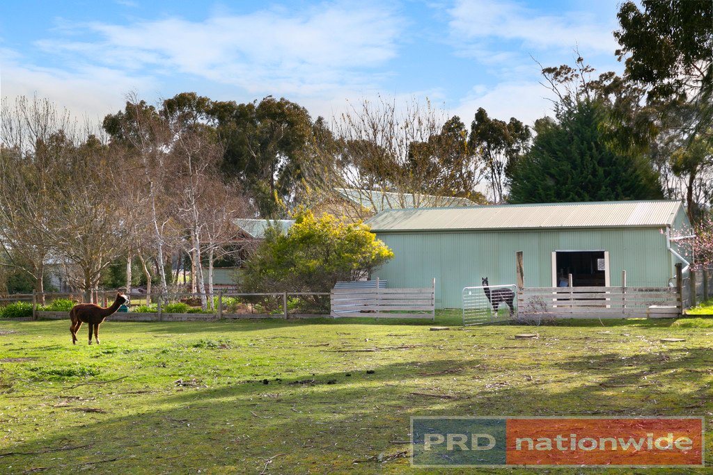 34 Brougham Street GORDON 18