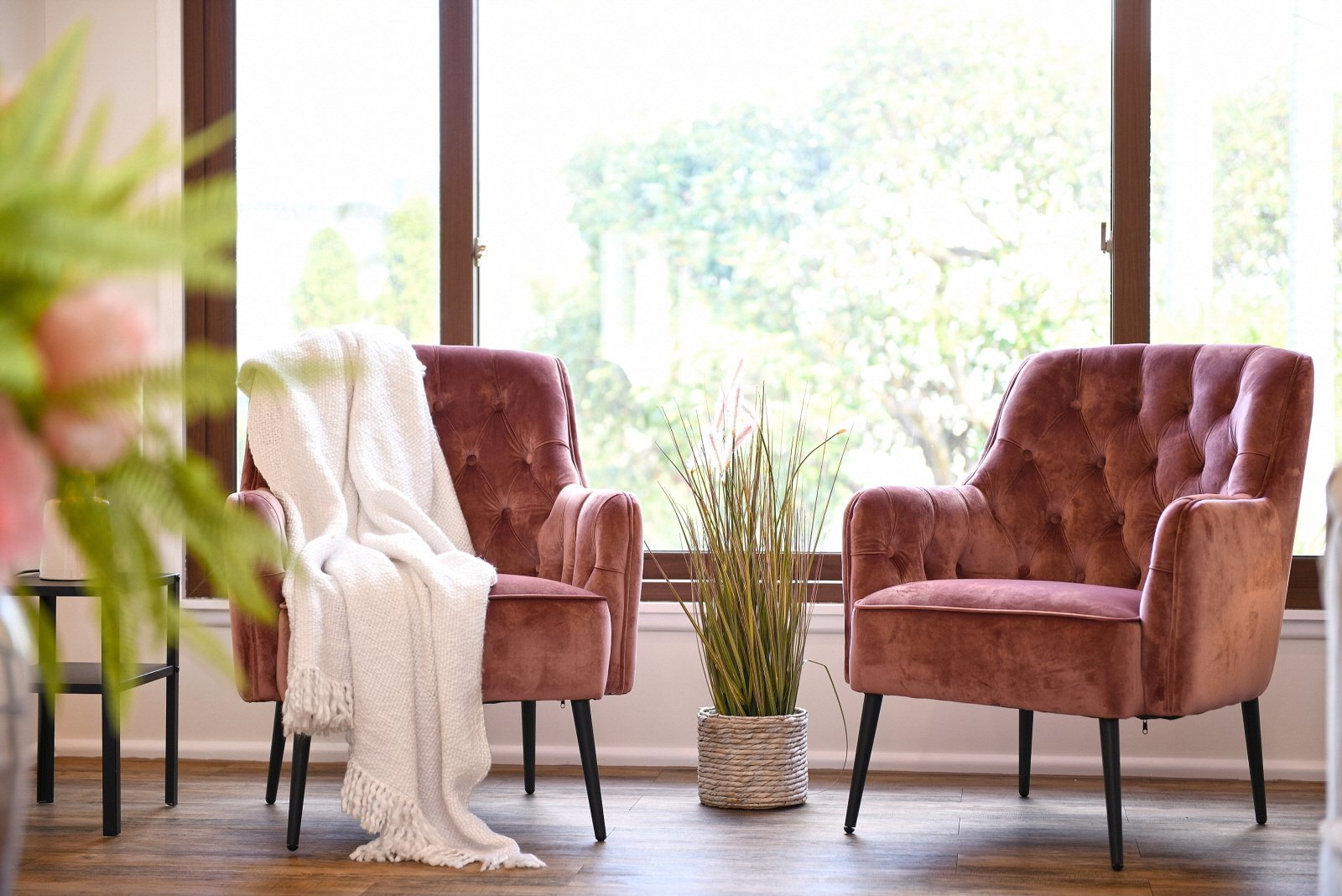 34 Cannons Parade Forestville Nsw 2087