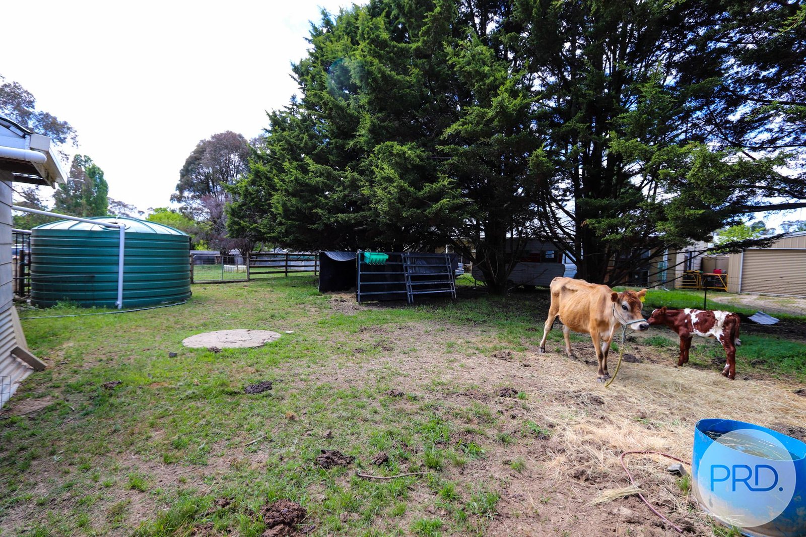 34 CARABOST Street ROSEWOOD 13