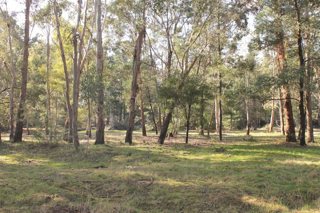 34 Clunes Road CRESWICK 6