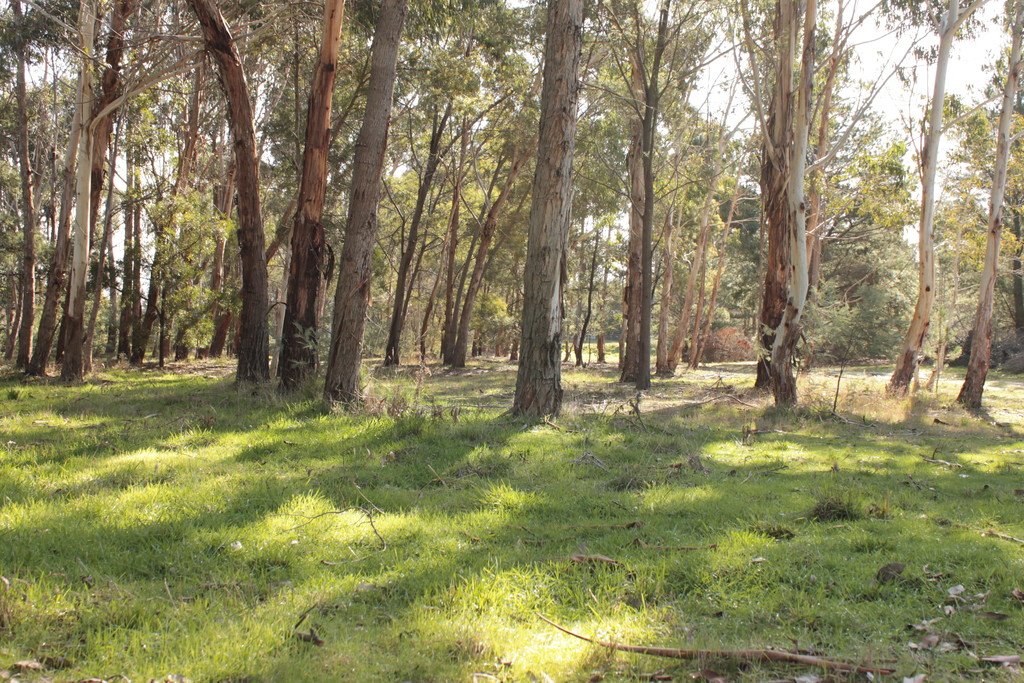 34 Clunes Road CRESWICK 7
