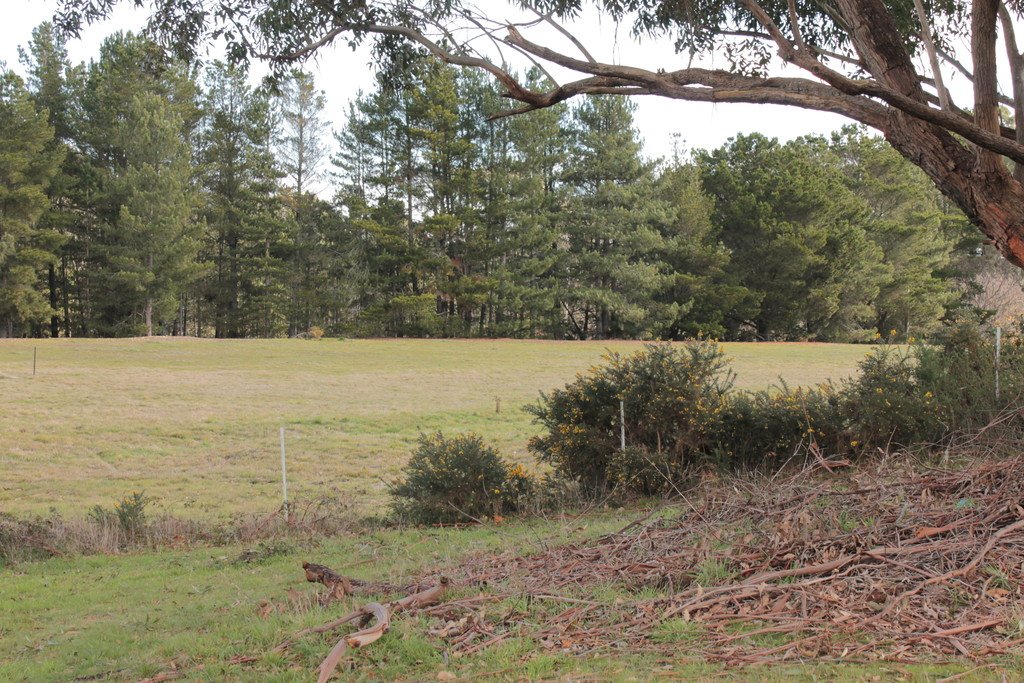 34 Clunes Road CRESWICK 10