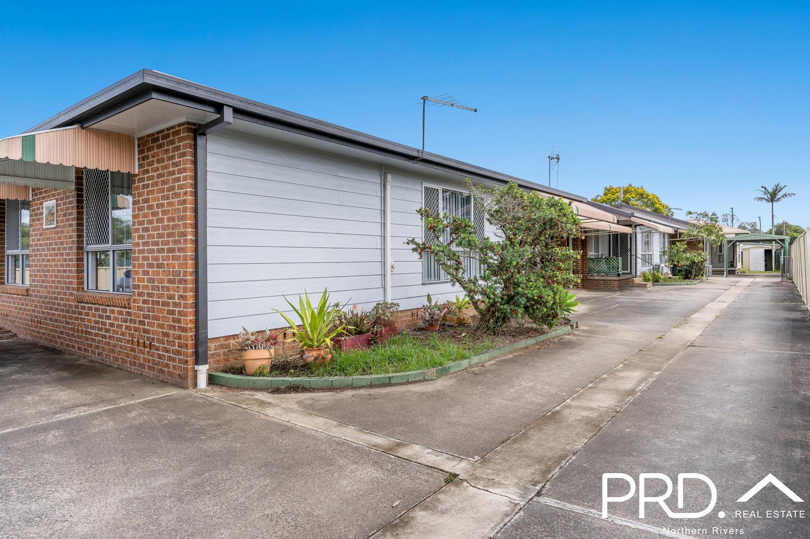 34 Cope Street CASINO 19