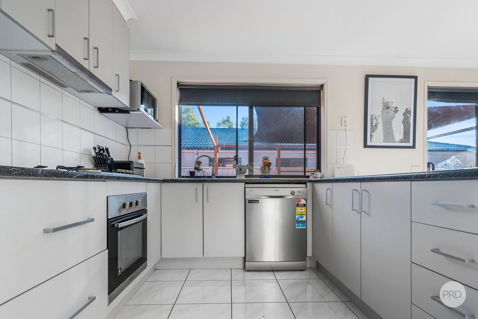 34 Elandra Drive ASCOT 3