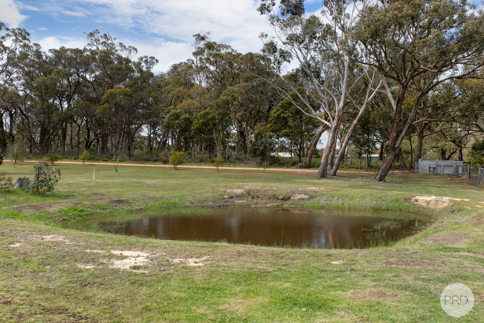 34 Farley Road DEREEL 16