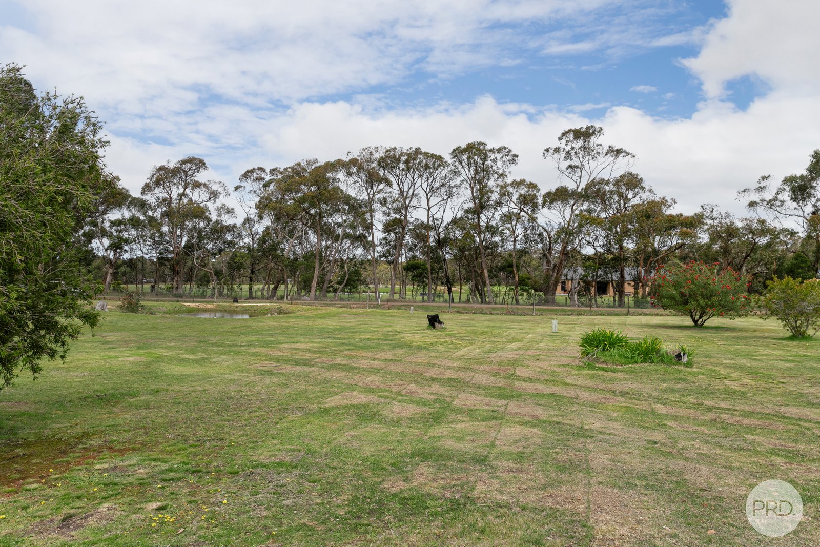 34 Farley Road DEREEL 17