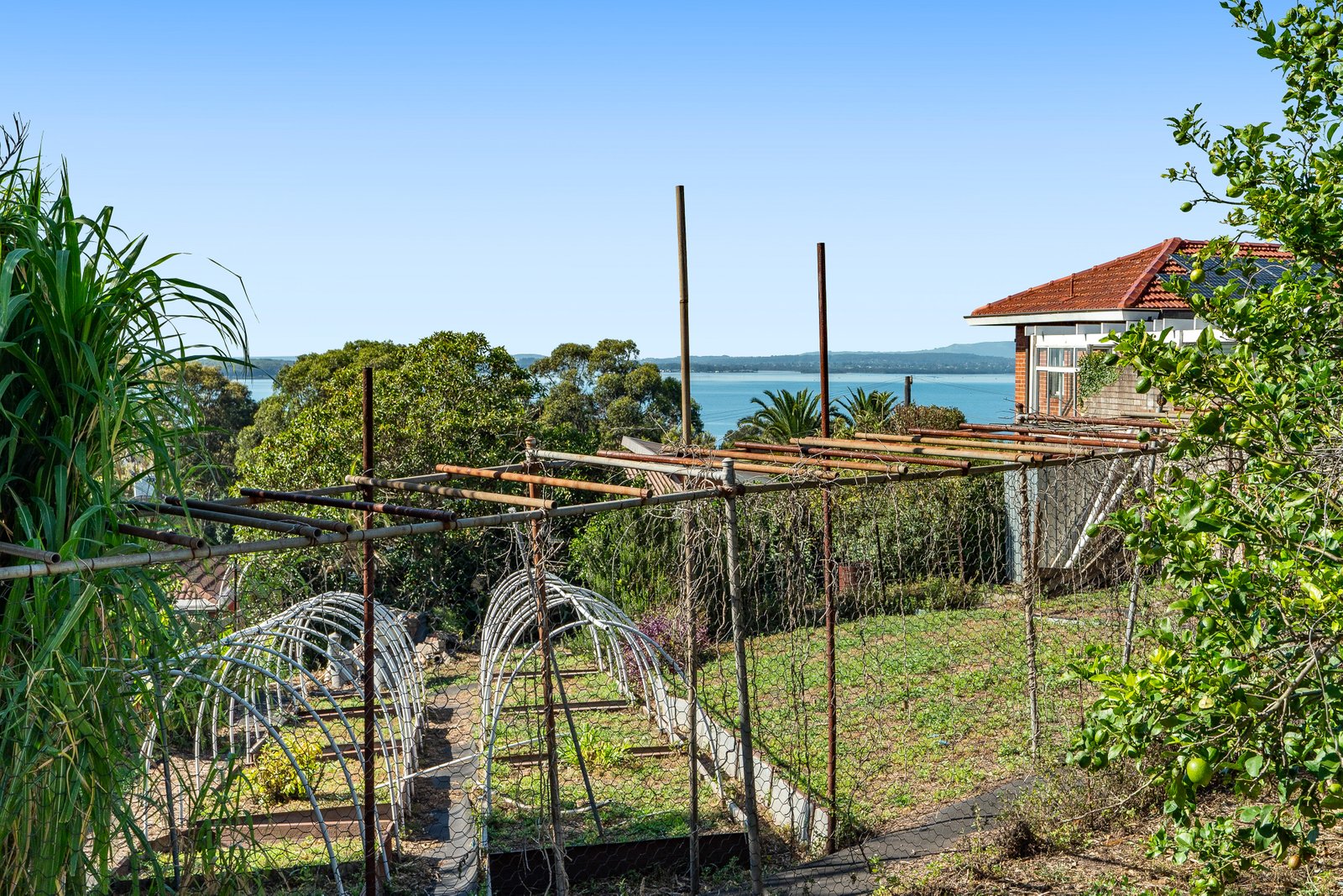 34 Gloria Crescent LAKE HEIGHTS 9