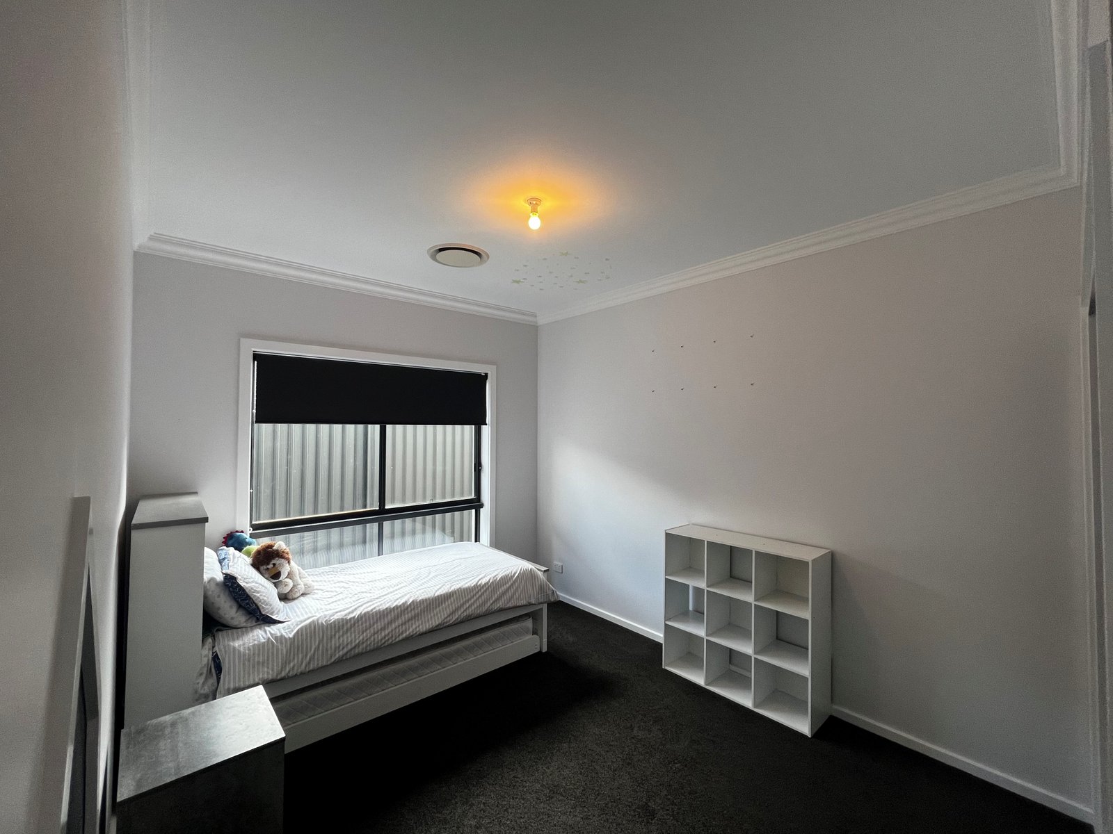 34 Ibis Street TAMWORTH 10