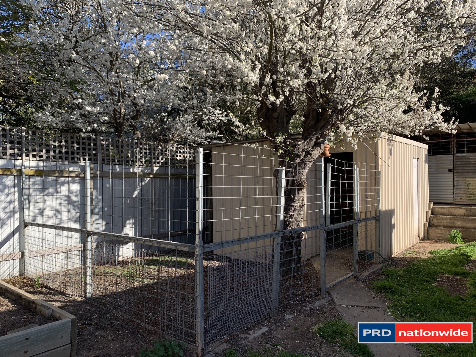34 Kurrajong Street CAPTAINS FLAT 13