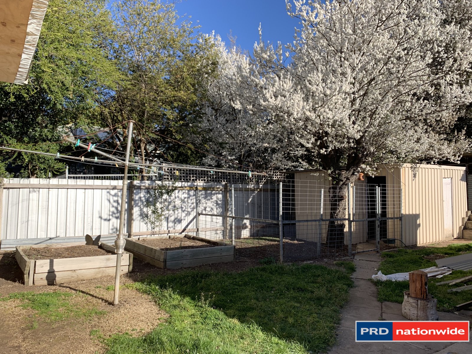 34 Kurrajong Street CAPTAINS FLAT 14