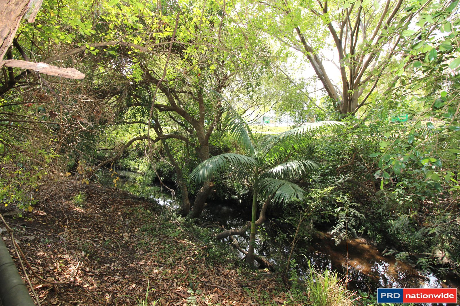 34 Lucan Avenue ASPLEY 10