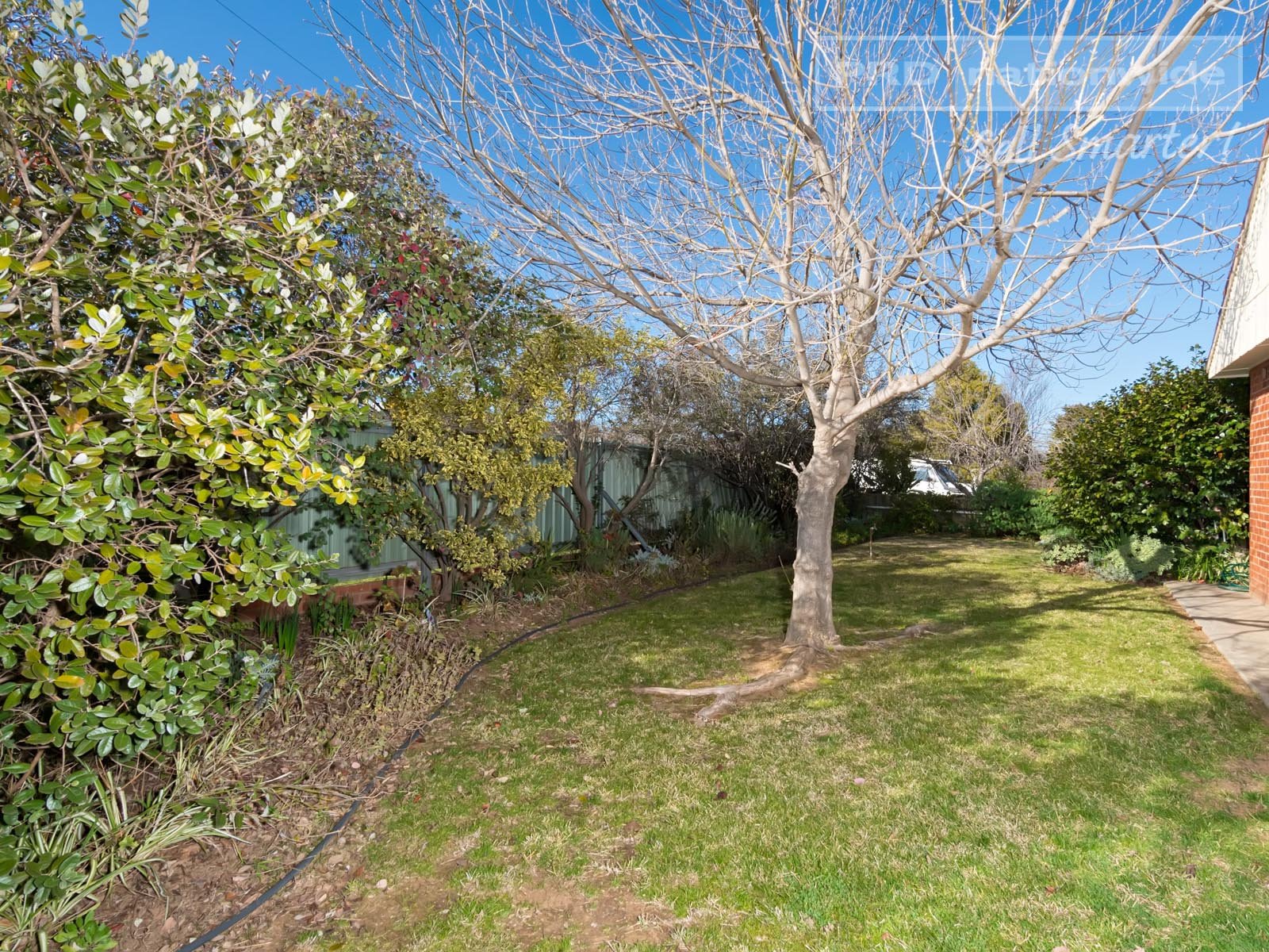 34 Manoora Avenue MOUNT AUSTIN 6
