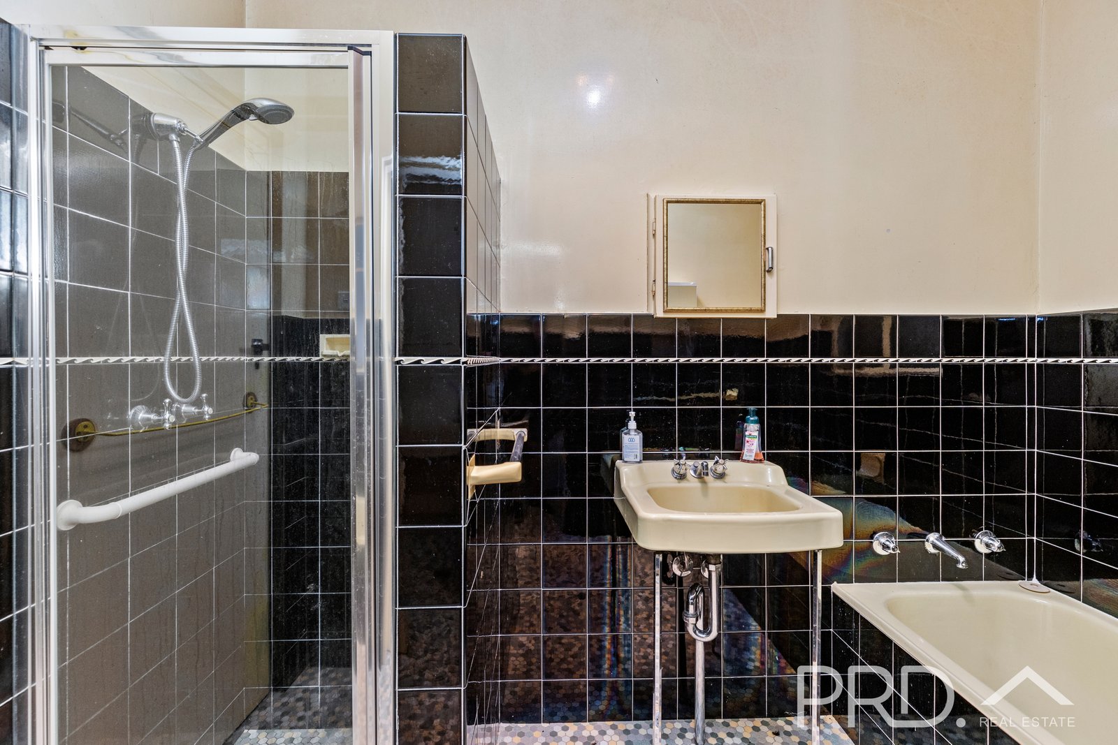 34 Nellis Street BATLOW 10