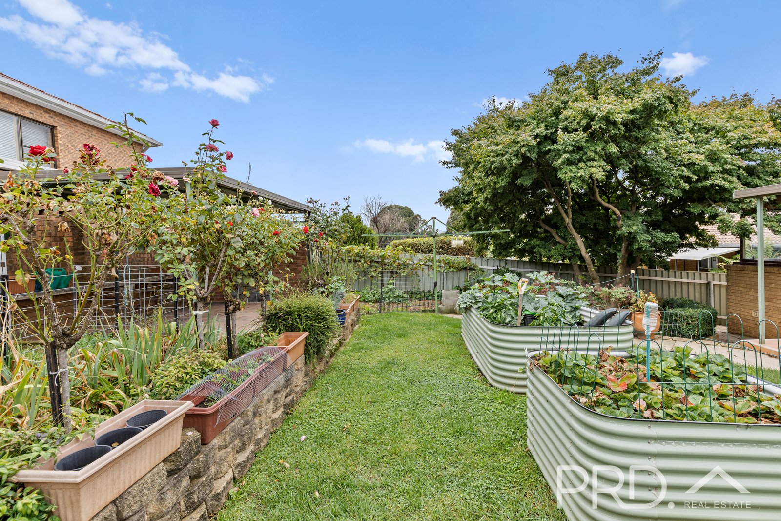 34 Nellis Street BATLOW 18