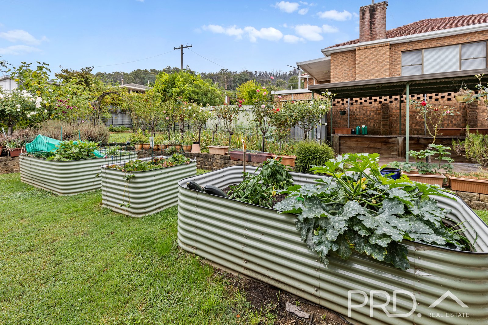 34 Nellis Street BATLOW 19