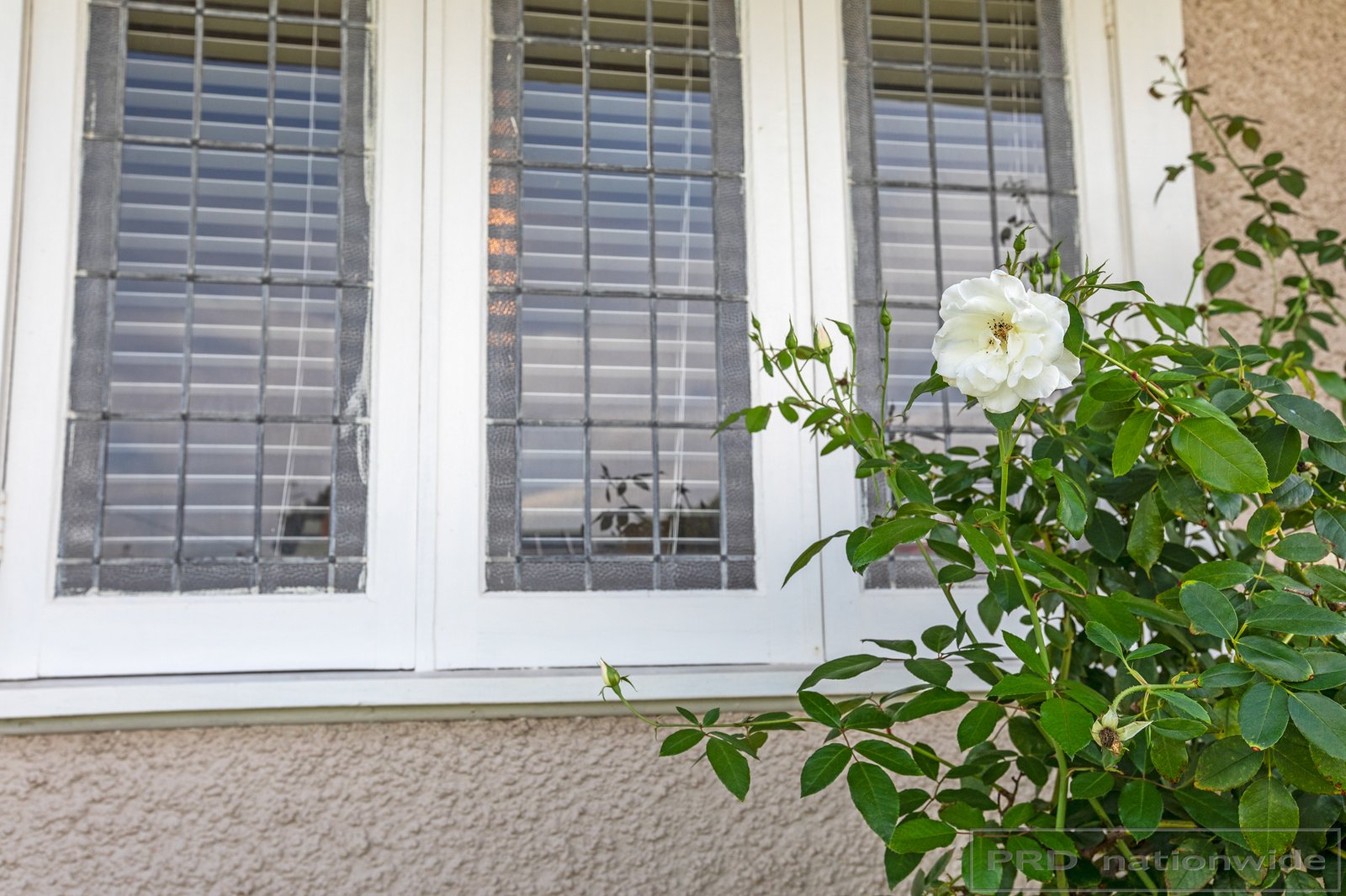 34 Nillo Street LORN 21