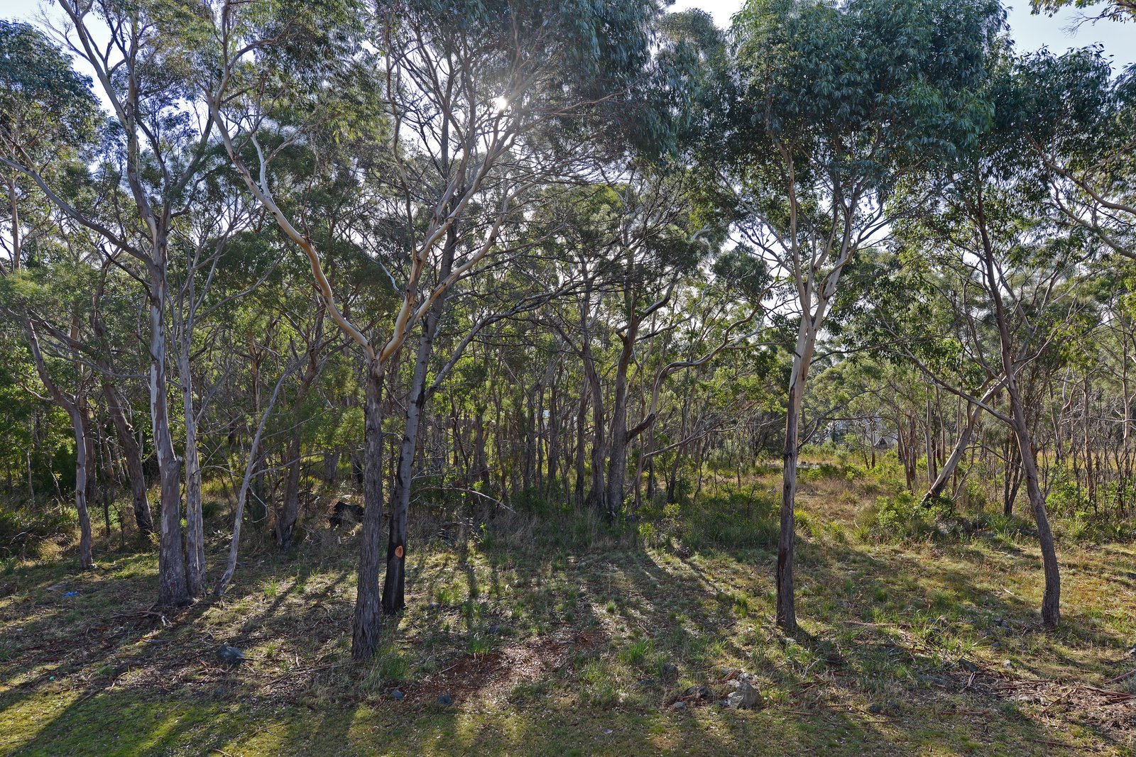 3/4 Onslow Place MOUNT NELSON 4