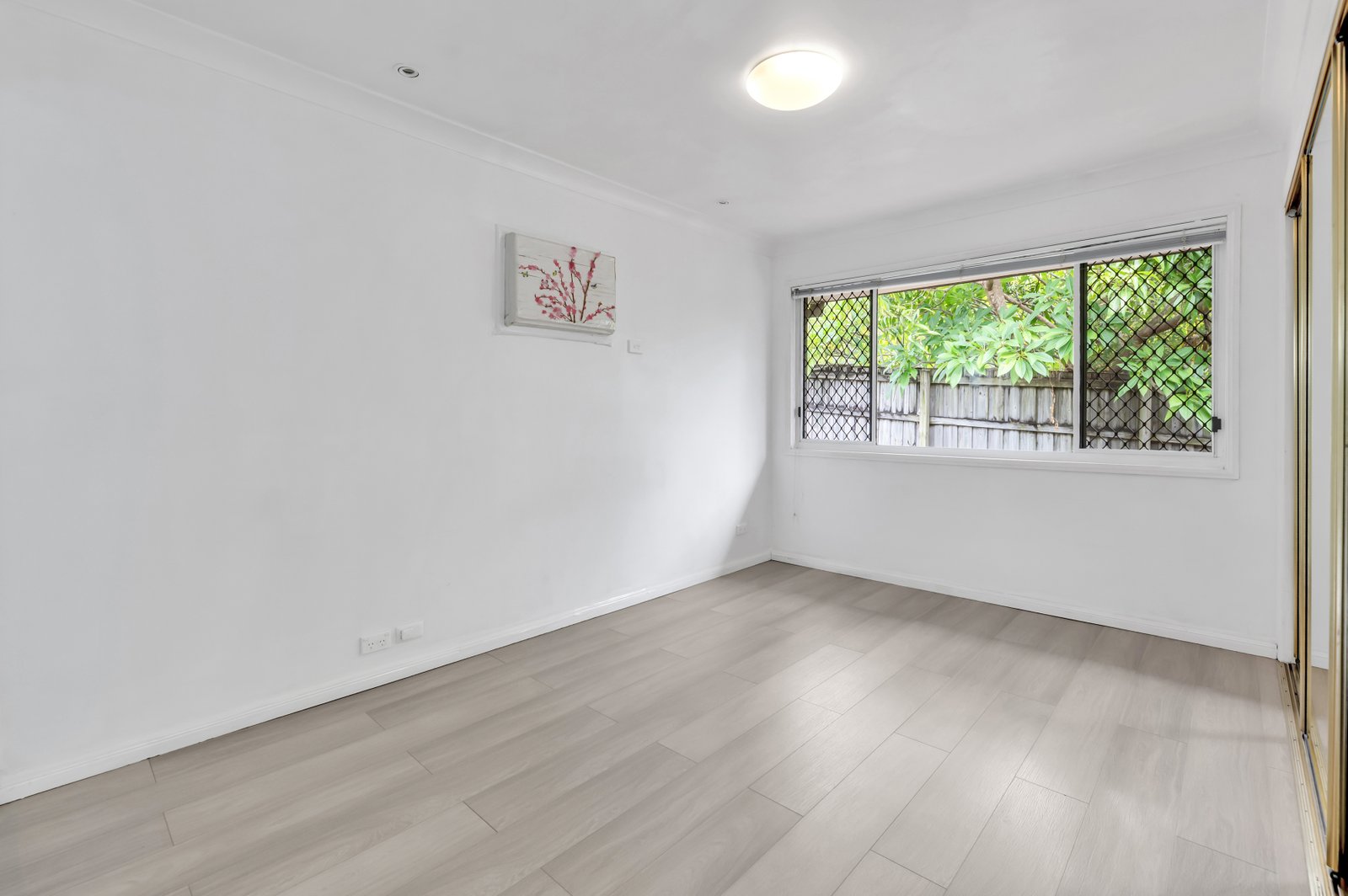 34 Parasol Street ASHMORE 10