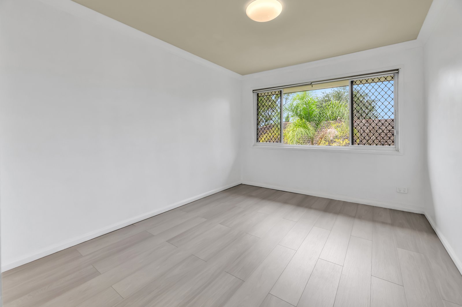 34 Parasol Street ASHMORE 14