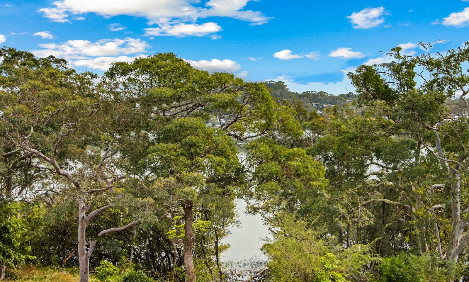 34 The Esplanade SYLVANIA 3