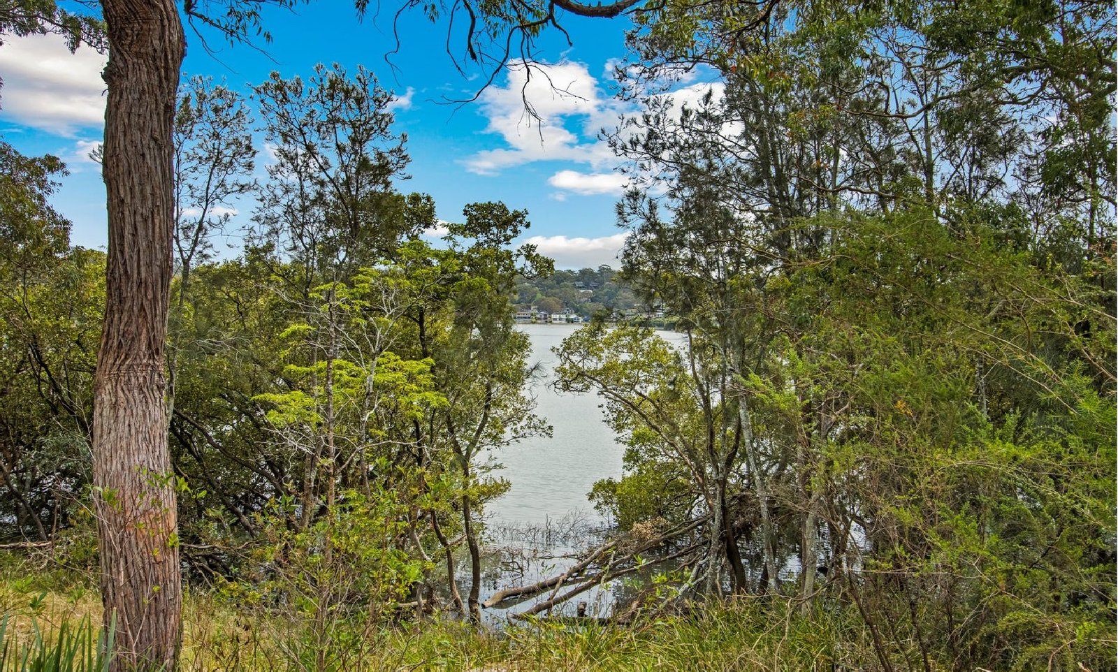 34 The Esplanade SYLVANIA 17