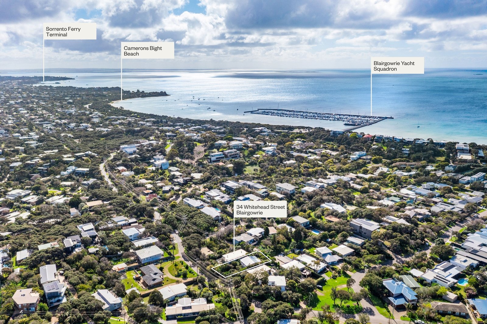 Gallery: 34 Whitehead Street