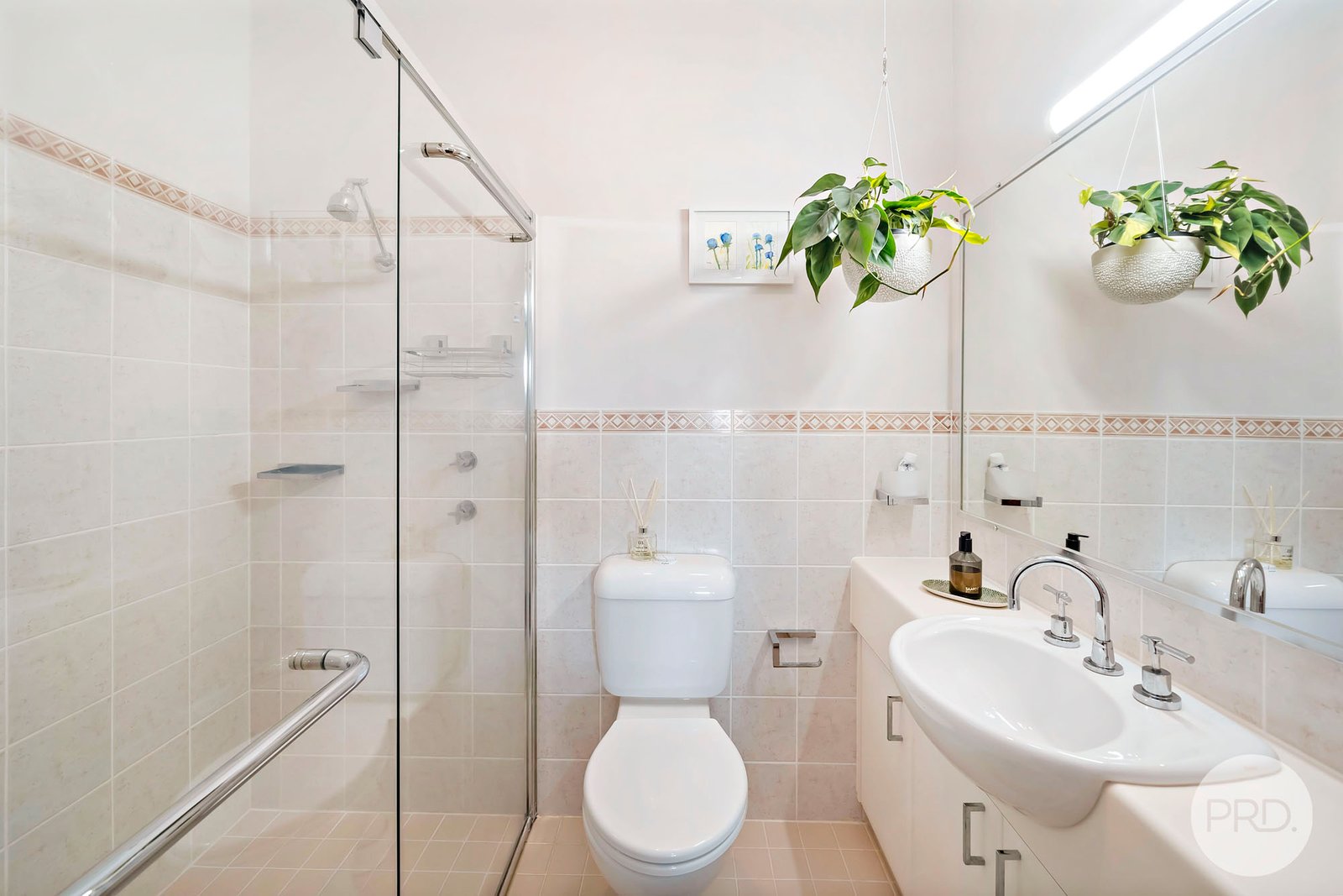 3/4 Whiting Place CORLETTE 14