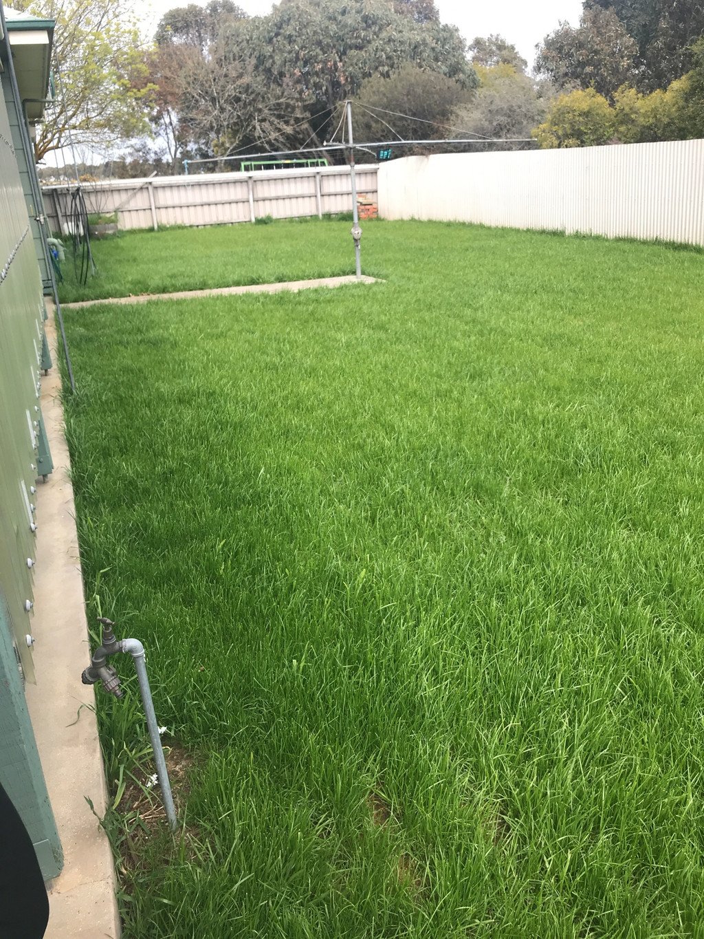 34 Wiggins Road MITCHELL PARK 5