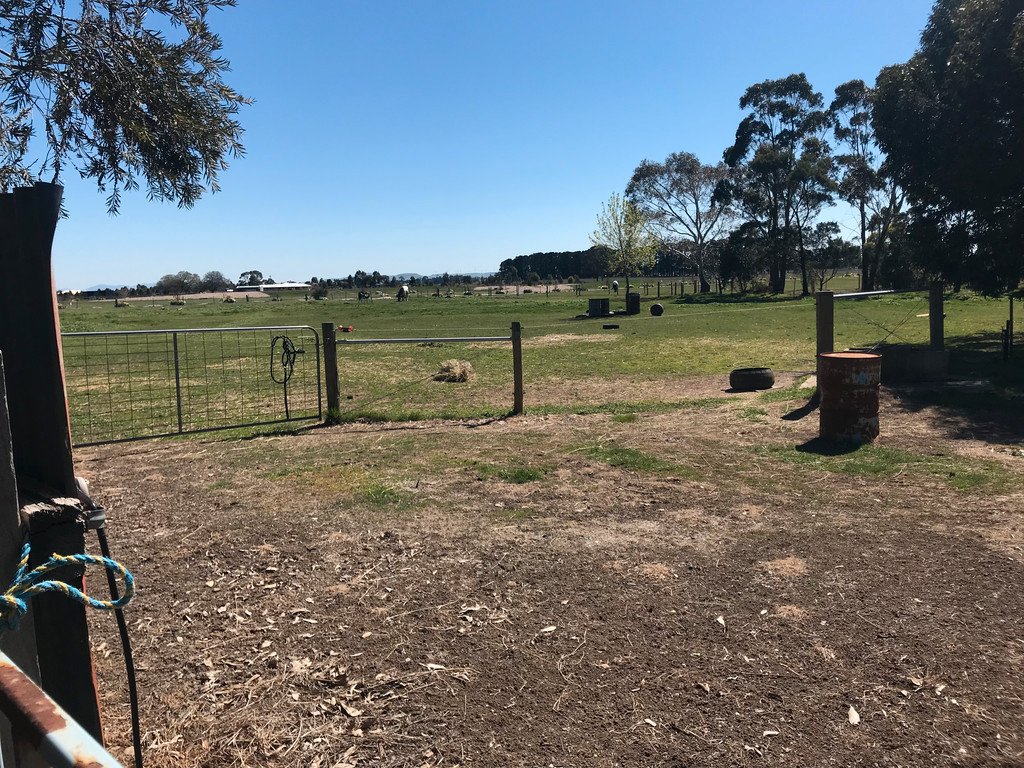 34 Wiggins Road MITCHELL PARK 8