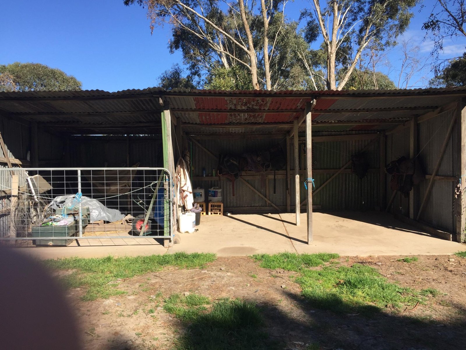 34 Wiggins Road MITCHELL PARK 10