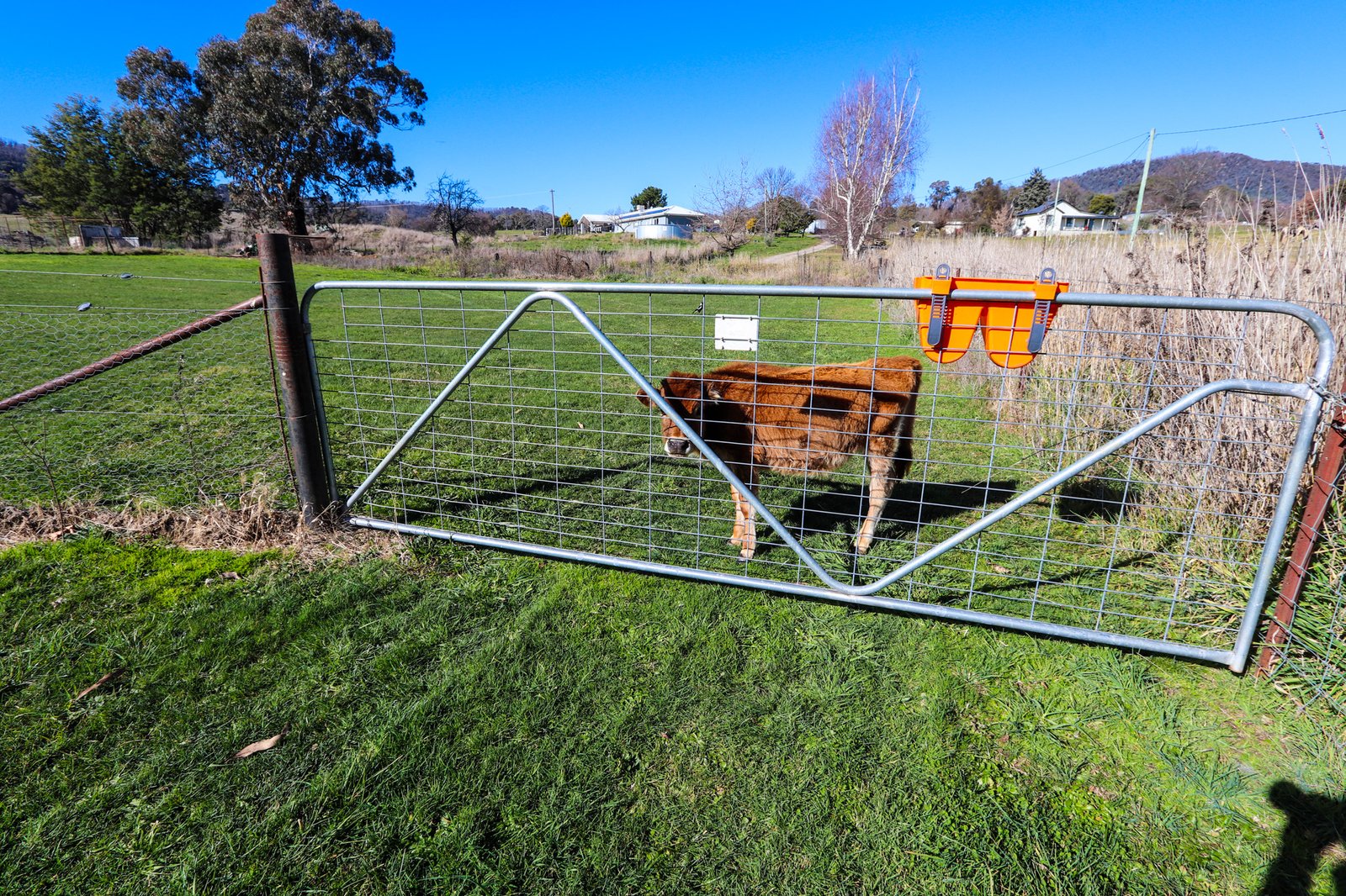 340 Batlow Road TUMBARUMBA 16