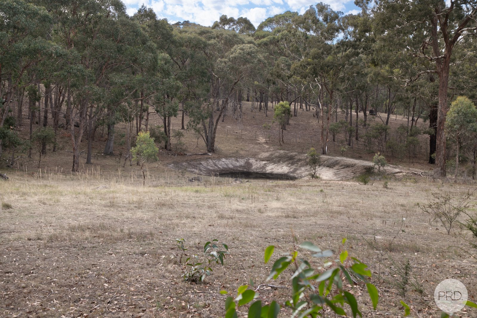340 Old Shirley Road BEAUFORT 3
