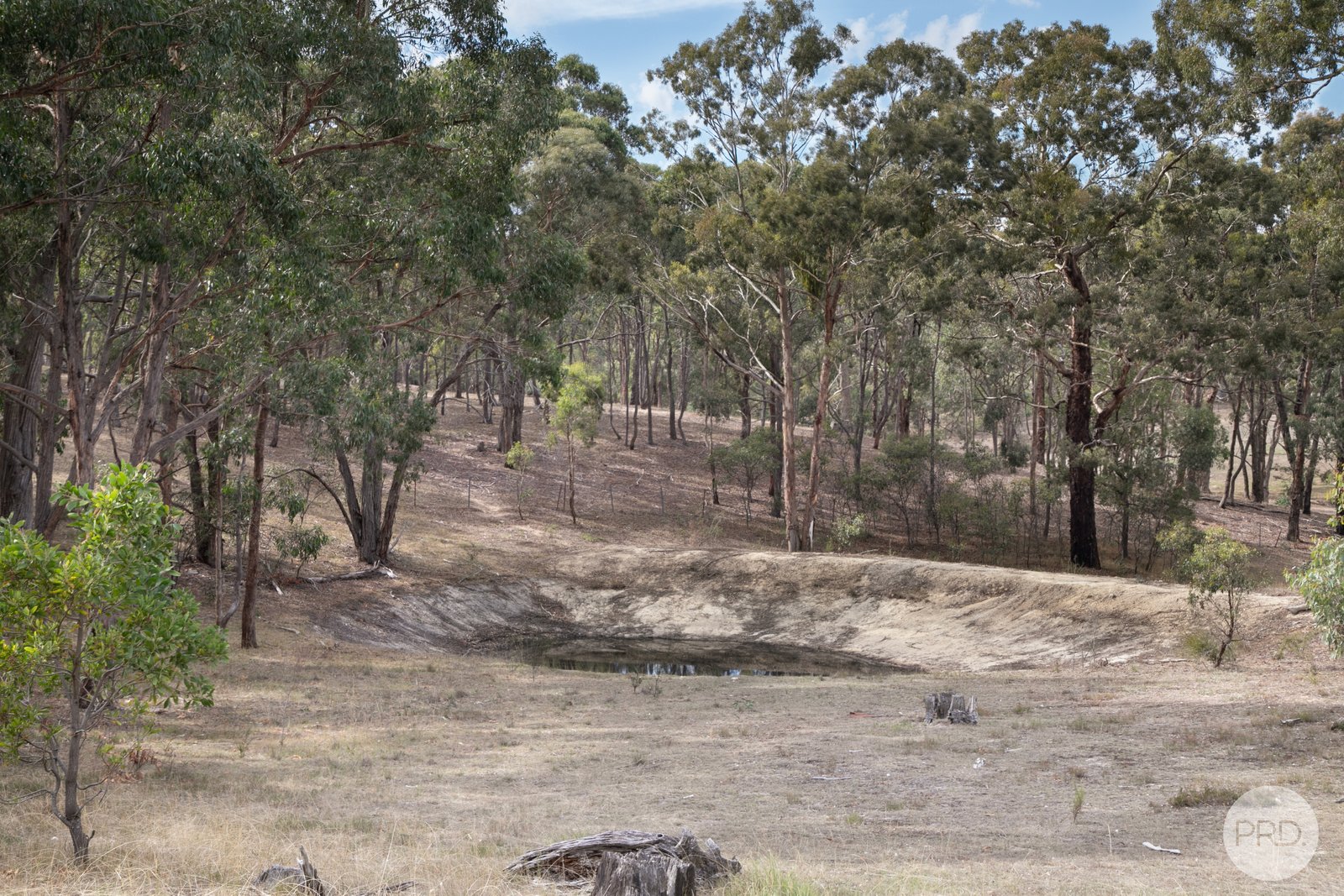 340 Old Shirley Road BEAUFORT 5