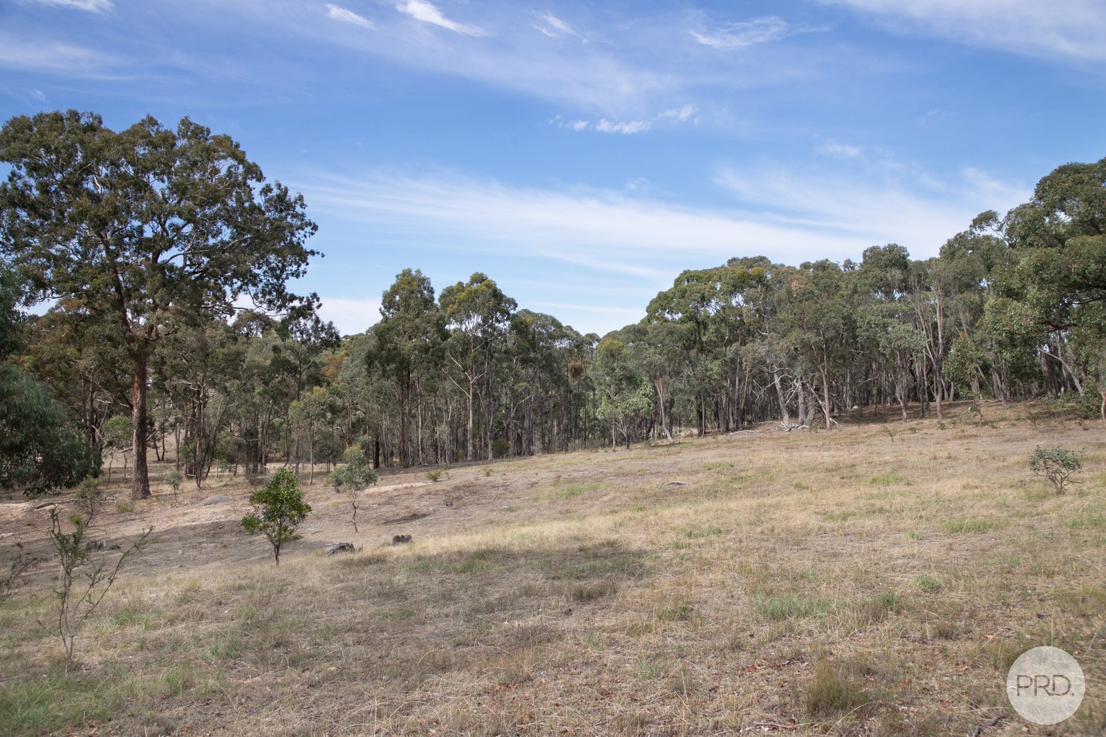 340 Old Shirley Road BEAUFORT 9