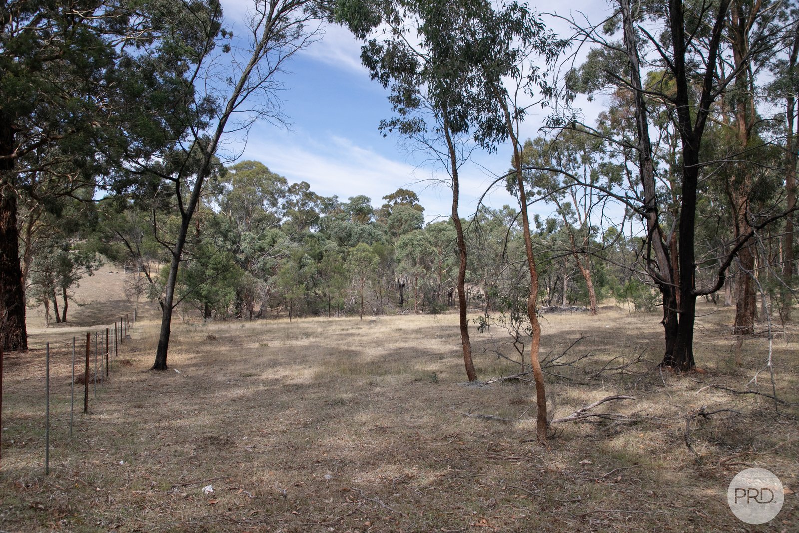 340 Old Shirley Road BEAUFORT 10